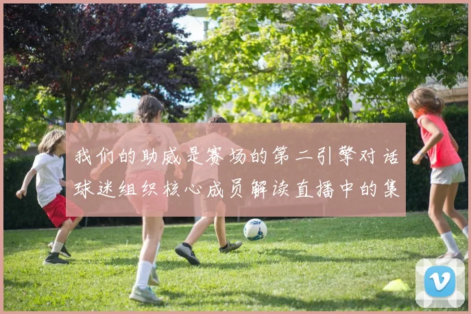 我们的助威是赛场的第二引擎对话球迷组织核心成员解读直播中的集体情感表达